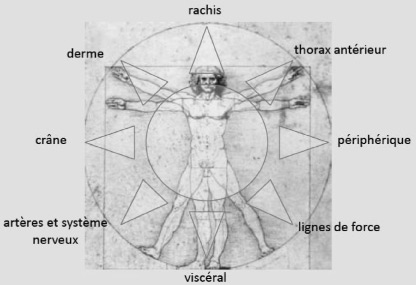 Osteopathic Concept