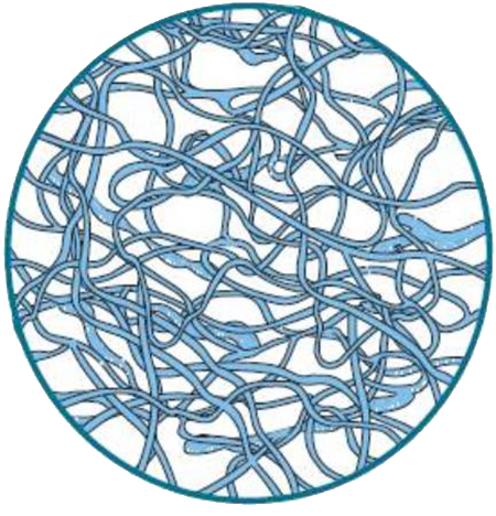 Molecular Structure of Hyaluronic Acid