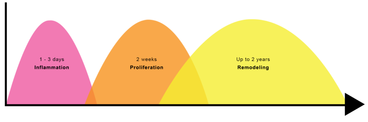 Prolotherapy Timeline